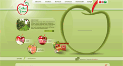 Desktop Screenshot of erikcitarim.com